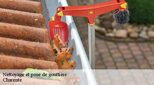 Nettoyage et pose de gouttière