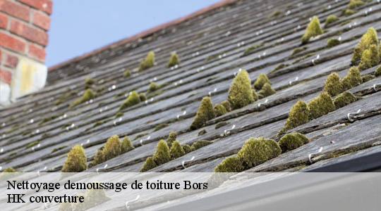 Nettoyage demoussage de toiture