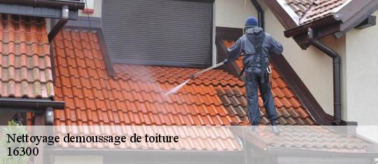 Nettoyage demoussage de toiture