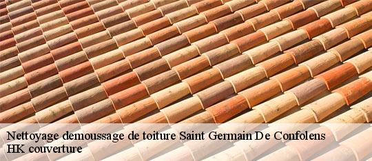 Nettoyage demoussage de toiture
