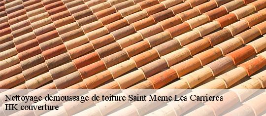 Nettoyage demoussage de toiture