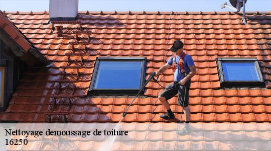 Nettoyage demoussage de toiture