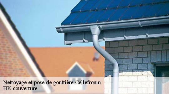 Nettoyage et pose de gouttière