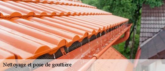 Nettoyage et pose de gouttière