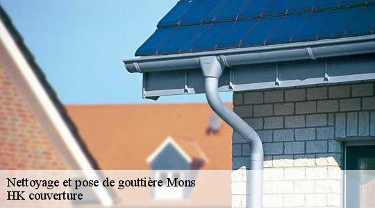 Nettoyage et pose de gouttière