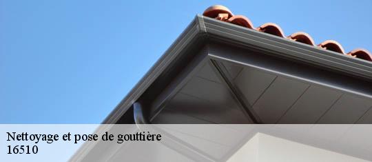 Nettoyage et pose de gouttière